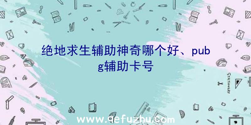 绝地求生辅助神奇哪个好、pubg辅助卡号