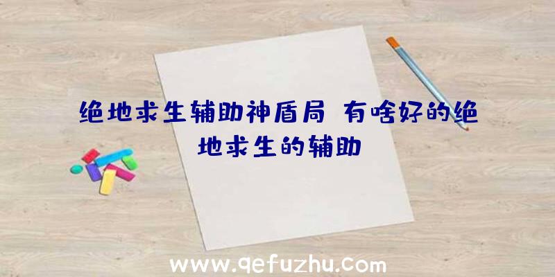 绝地求生辅助神盾局、有啥好的绝地求生的辅助