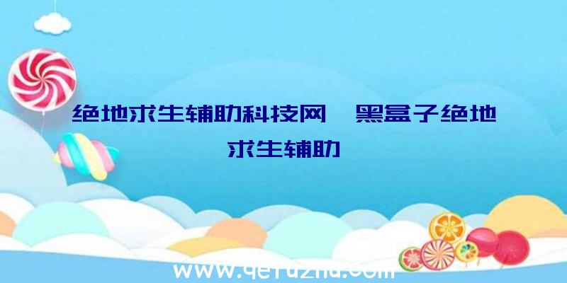 绝地求生辅助科技网、黑盒子绝地求生辅助