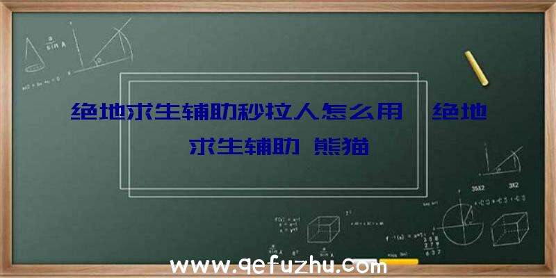 绝地求生辅助秒拉人怎么用、绝地求生辅助