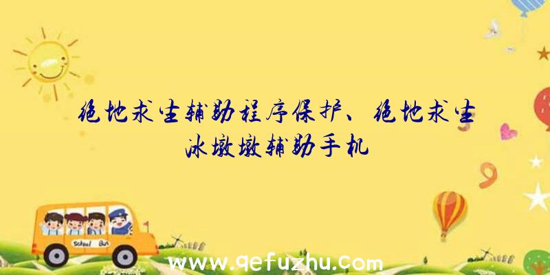 绝地求生辅助程序保护、绝地求生冰墩墩辅助手机