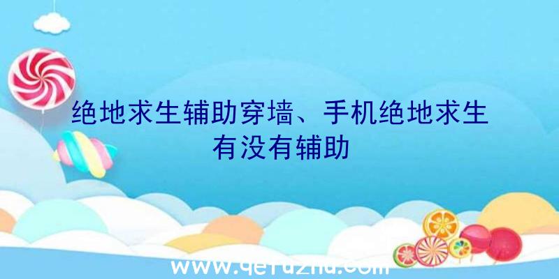 绝地求生辅助穿墙、手机绝地求生有没有辅助