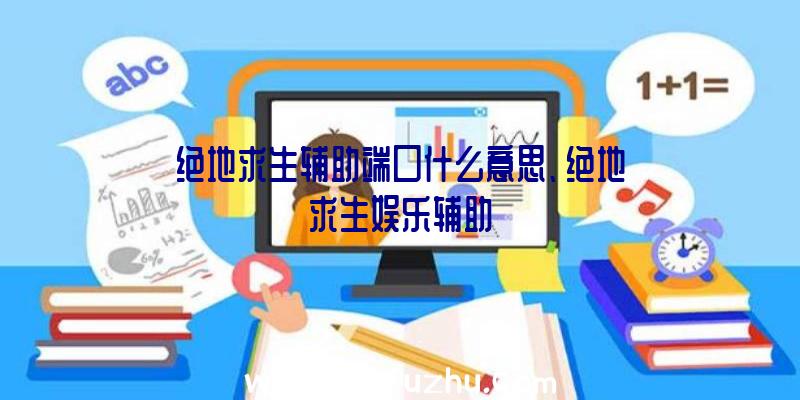 绝地求生辅助端口什么意思、绝地求生娱乐辅助