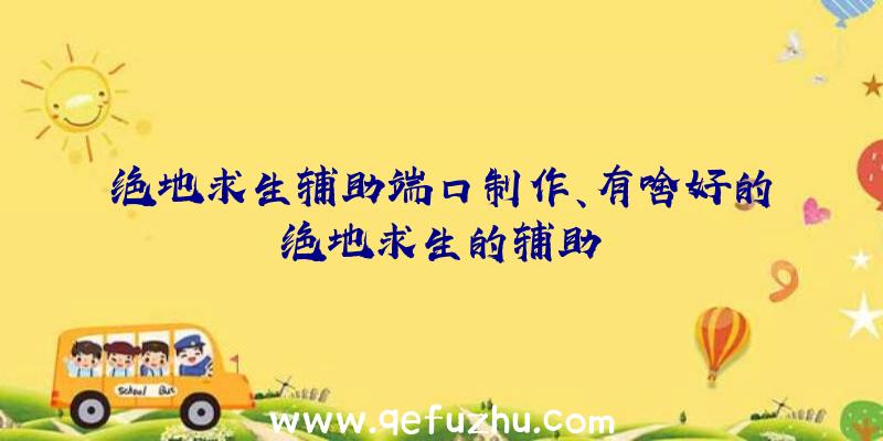 绝地求生辅助端口制作、有啥好的绝地求生的辅助