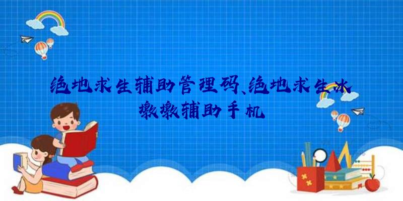 绝地求生辅助管理码、绝地求生冰墩墩辅助手机