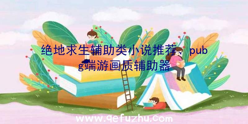 绝地求生辅助类小说推荐、pubg端游画质辅助器