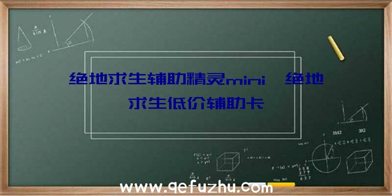 绝地求生辅助精灵mini、绝地求生低价辅助卡