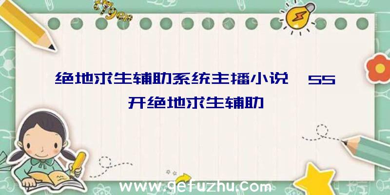 绝地求生辅助系统主播小说、55开绝地求生辅助