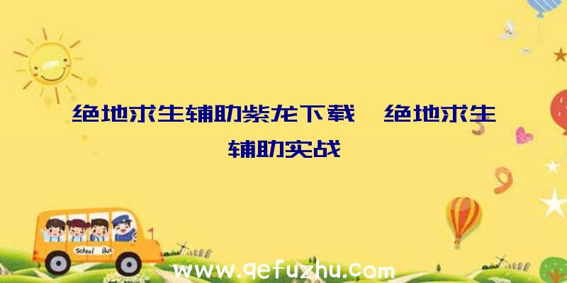 绝地求生辅助紫龙下载、绝地求生辅助实战