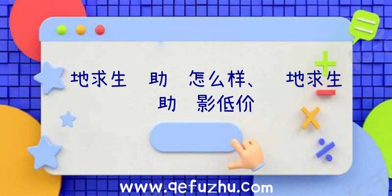 绝地求生辅助线怎么样、绝地求生辅助绝影低价