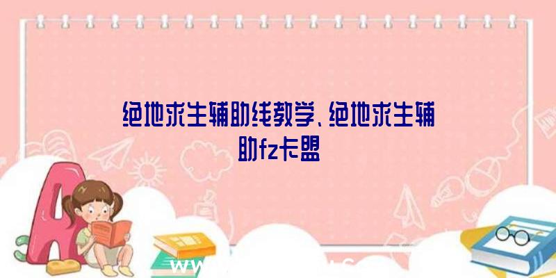 绝地求生辅助线教学、绝地求生辅助fz卡盟