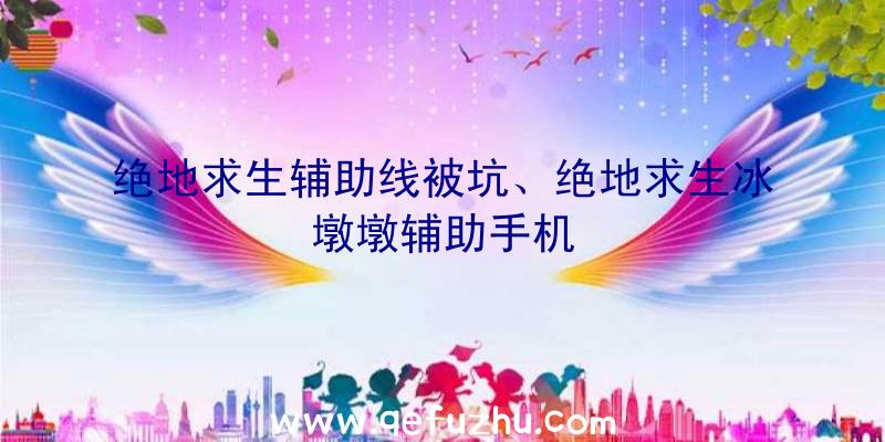 绝地求生辅助线被坑、绝地求生冰墩墩辅助手机