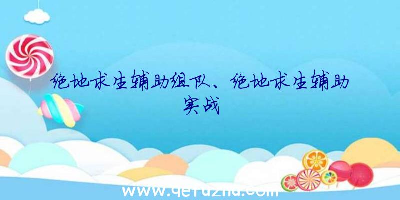 绝地求生辅助组队、绝地求生辅助实战