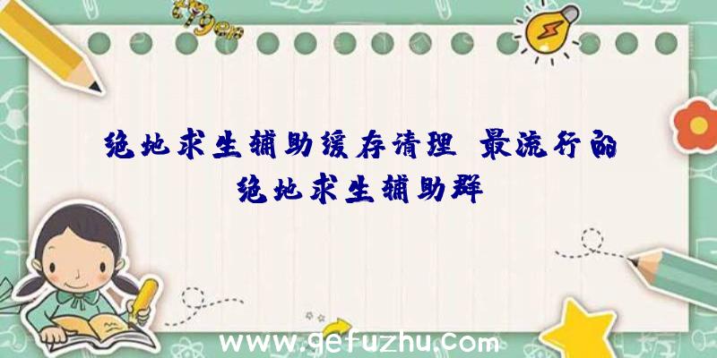 绝地求生辅助缓存清理、最流行的绝地求生辅助群