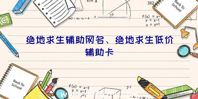 绝地求生辅助网名、绝地求生低价辅助卡