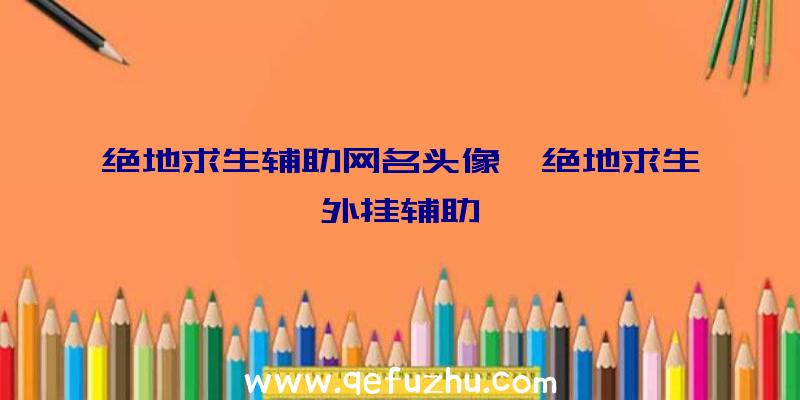 绝地求生辅助网名头像、绝地求生外挂辅助