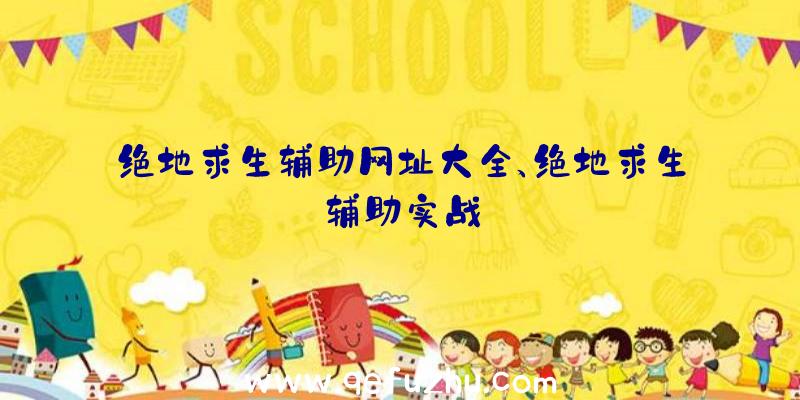 绝地求生辅助网址大全、绝地求生辅助实战