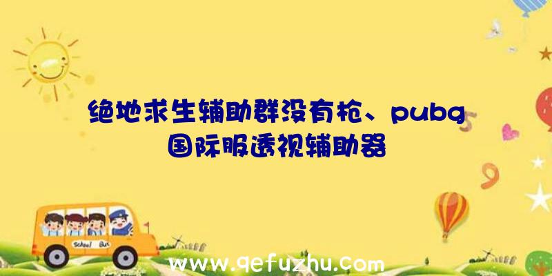 绝地求生辅助群没有枪、pubg国际服透视辅助器