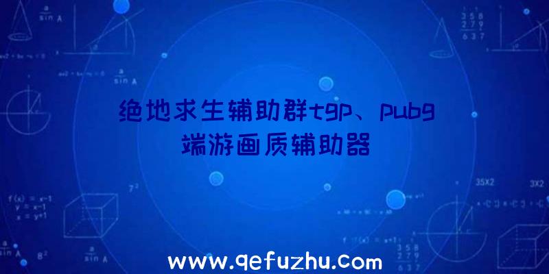 绝地求生辅助群tgp、pubg端游画质辅助器