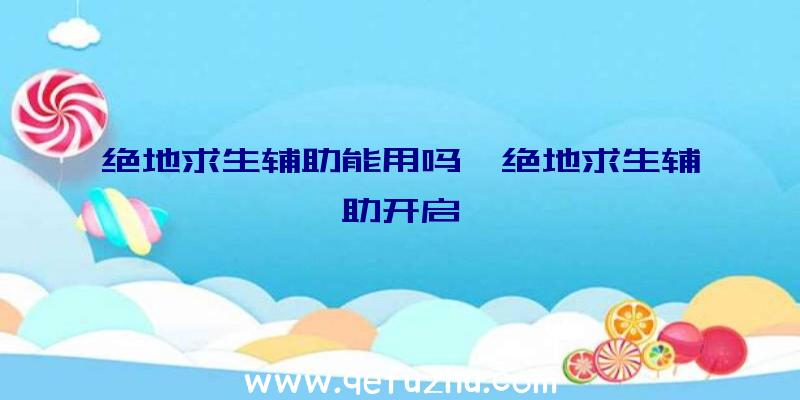 绝地求生辅助能用吗、绝地求生辅助开启