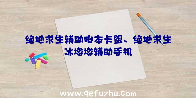 绝地求生辅助脚本卡盟、绝地求生冰墩墩辅助手机