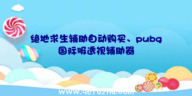 绝地求生辅助自动购买、pubg国际服透视辅助器