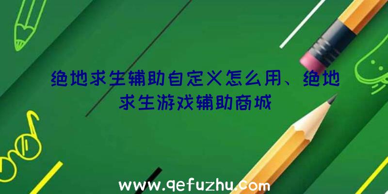 绝地求生辅助自定义怎么用、绝地求生游戏辅助商城