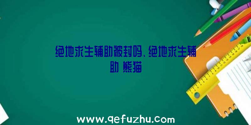 绝地求生辅助被封吗、绝地求生辅助