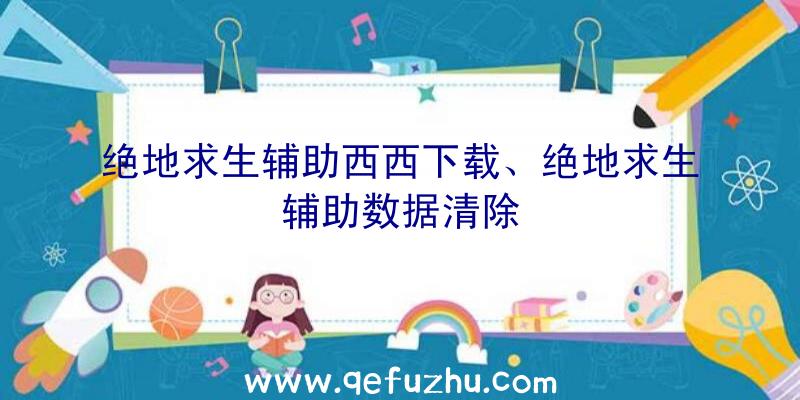 绝地求生辅助西西下载、绝地求生辅助数据清除