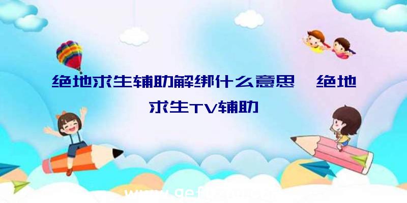 绝地求生辅助解绑什么意思、绝地求生TV辅助