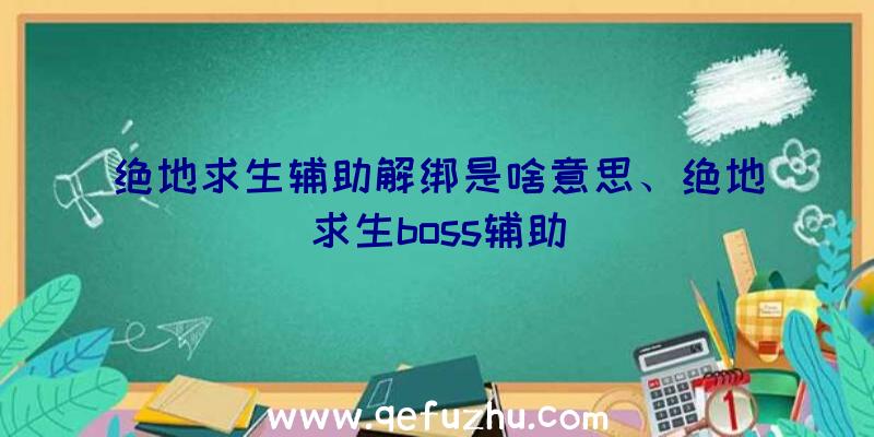 绝地求生辅助解绑是啥意思、绝地求生boss辅助