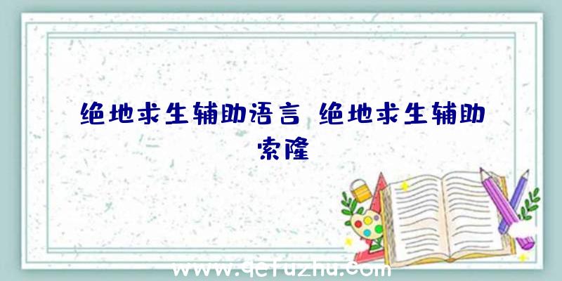 绝地求生辅助语言、绝地求生辅助索隆