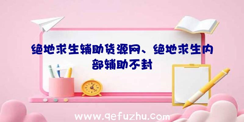 绝地求生辅助货源网、绝地求生内部辅助不封