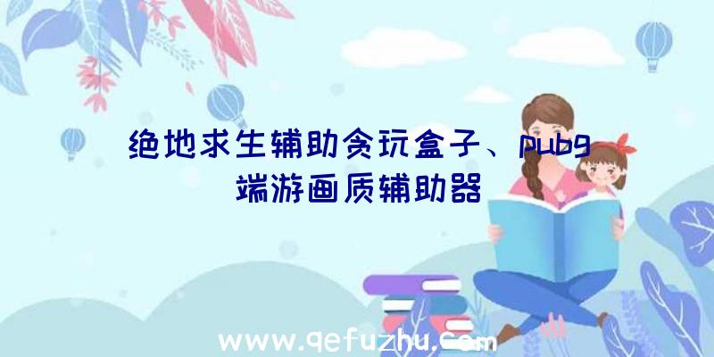 绝地求生辅助贪玩盒子、pubg端游画质辅助器