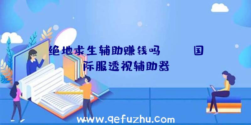 绝地求生辅助赚钱吗、pubg国际服透视辅助器