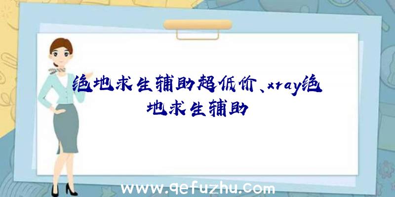 绝地求生辅助超低价、xray绝地求生辅助