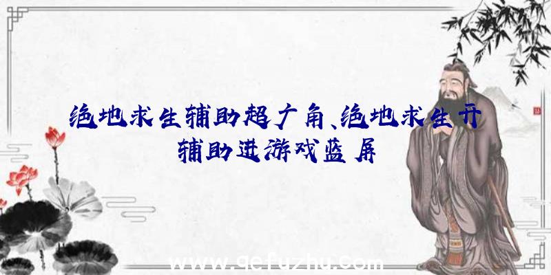 绝地求生辅助超广角、绝地求生开辅助进游戏蓝屏