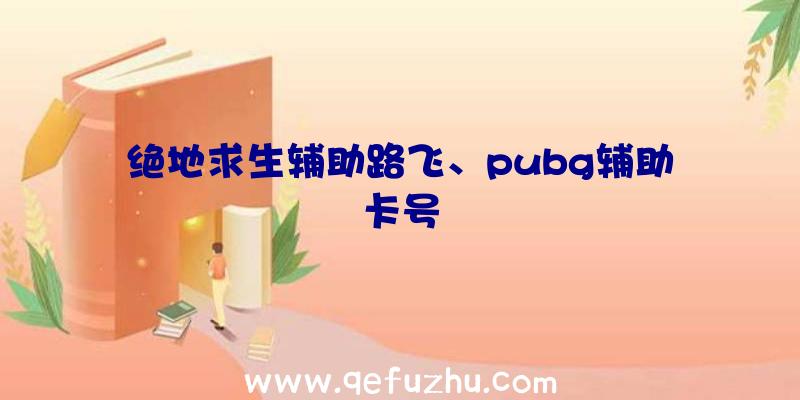 绝地求生辅助路飞、pubg辅助卡号