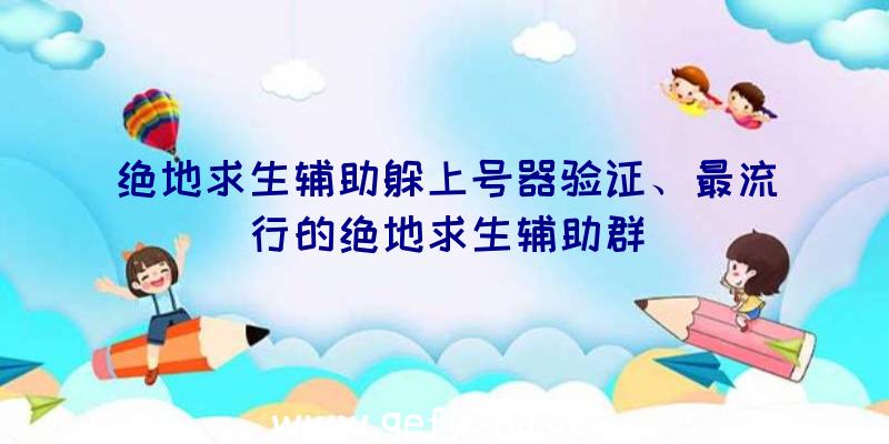 绝地求生辅助躲上号器验证、最流行的绝地求生辅助群