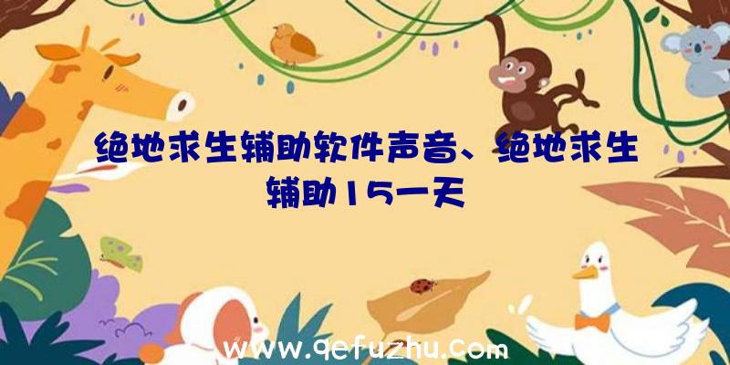 绝地求生辅助软件声音、绝地求生辅助15一天