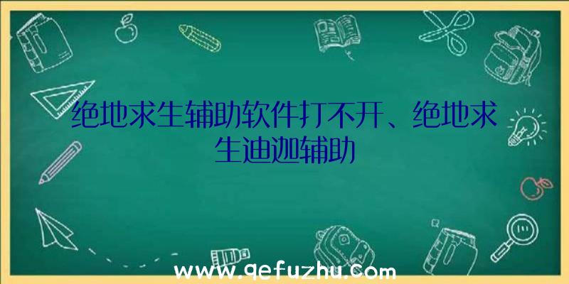 绝地求生辅助软件打不开、绝地求生迪迦辅助