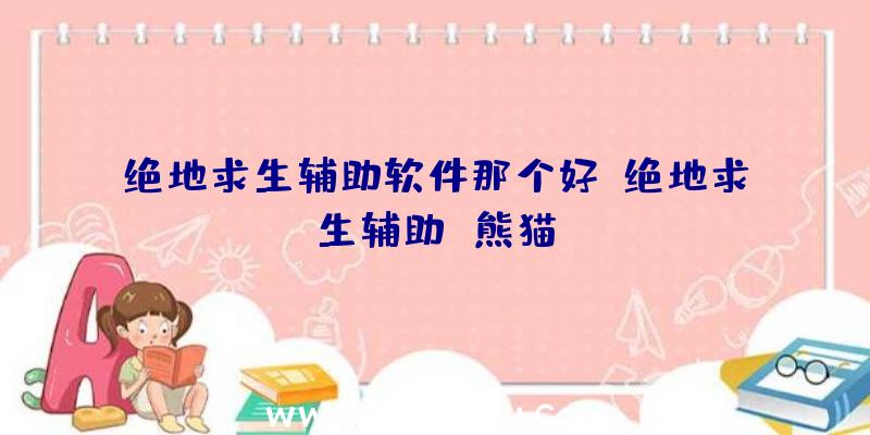 绝地求生辅助软件那个好、绝地求生辅助