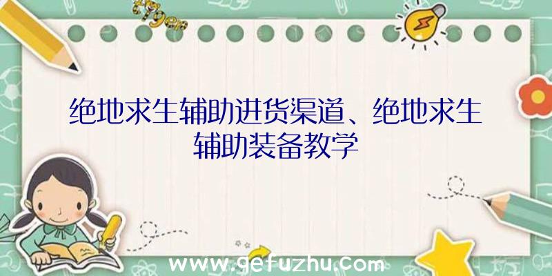 绝地求生辅助进货渠道、绝地求生辅助装备教学