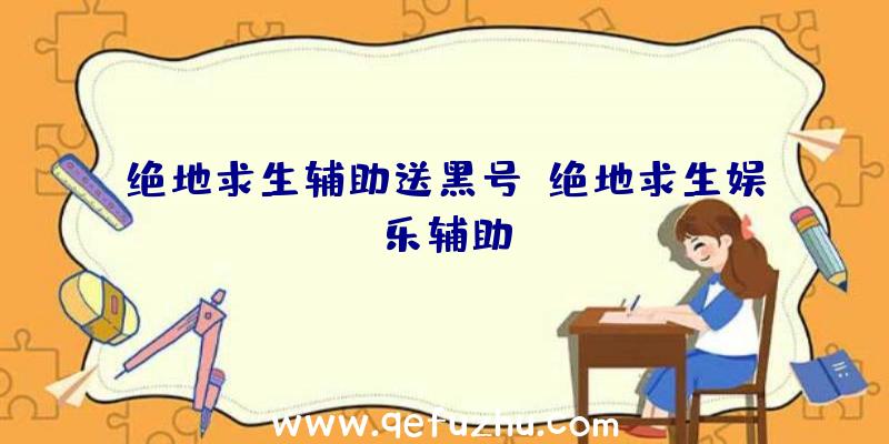 绝地求生辅助送黑号、绝地求生娱乐辅助