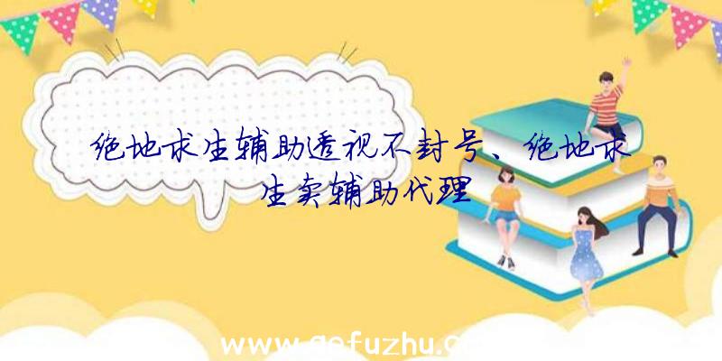 绝地求生辅助透视不封号、绝地求生卖辅助代理