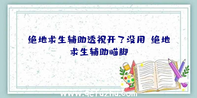 绝地求生辅助透视开了没用、绝地求生辅助瞄脚