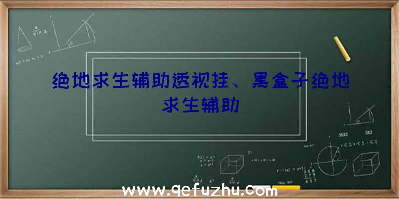 绝地求生辅助透视挂、黑盒子绝地求生辅助