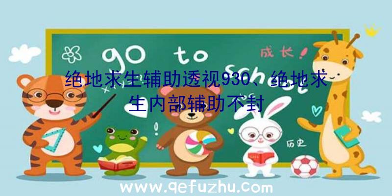 绝地求生辅助透视930、绝地求生内部辅助不封