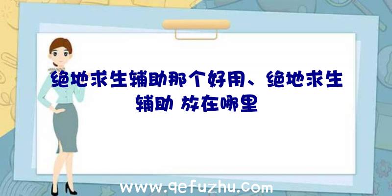 绝地求生辅助那个好用、绝地求生辅助