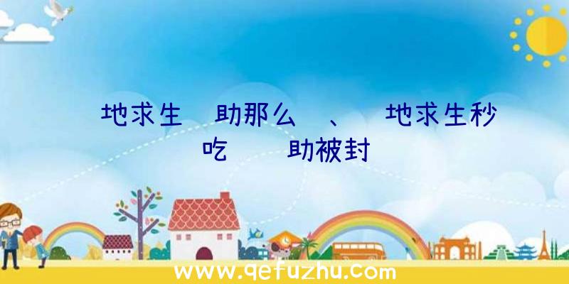 绝地求生辅助那么贵、绝地求生秒吃药辅助被封